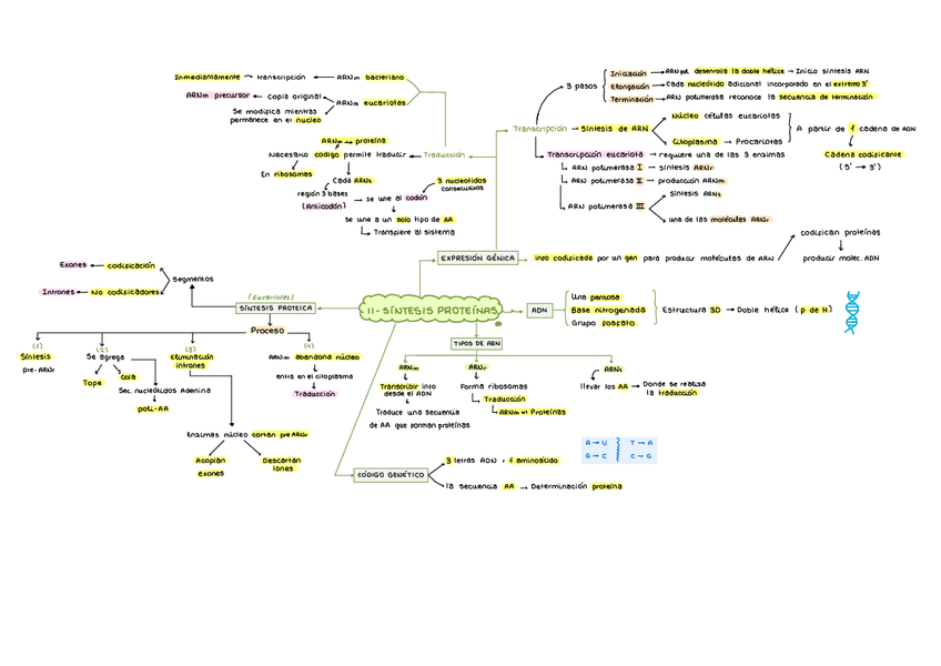 Miniatura del documento Resumen-Tema-12.pdf