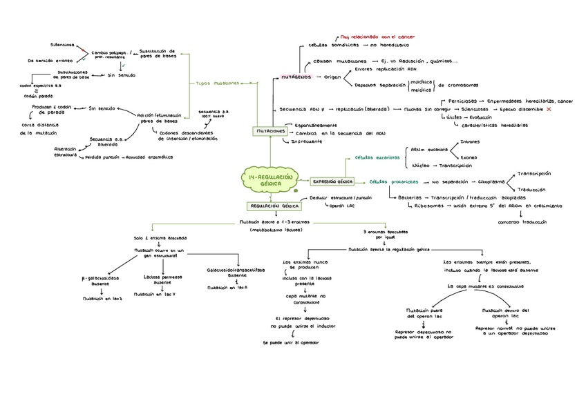 Miniatura del documento resumen-tema-14.pdf