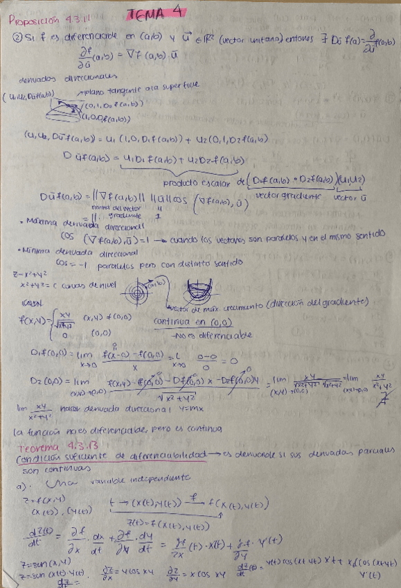 Miniatura del documento Teoria-tema-4.pdf