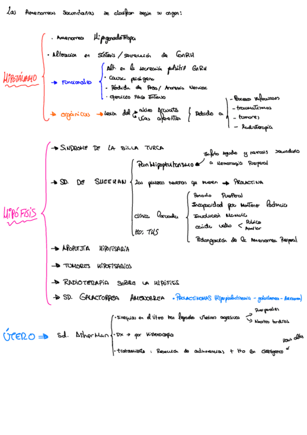 Miniatura del documento Amenorreas-secundarias-apuntes.pdf