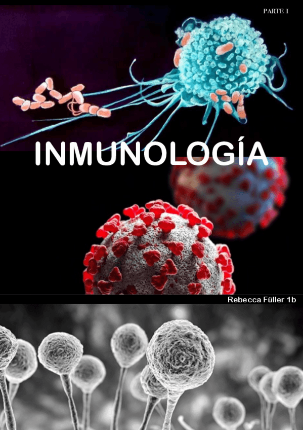Miniatura del documento apuntes-inmunologia.pdf
