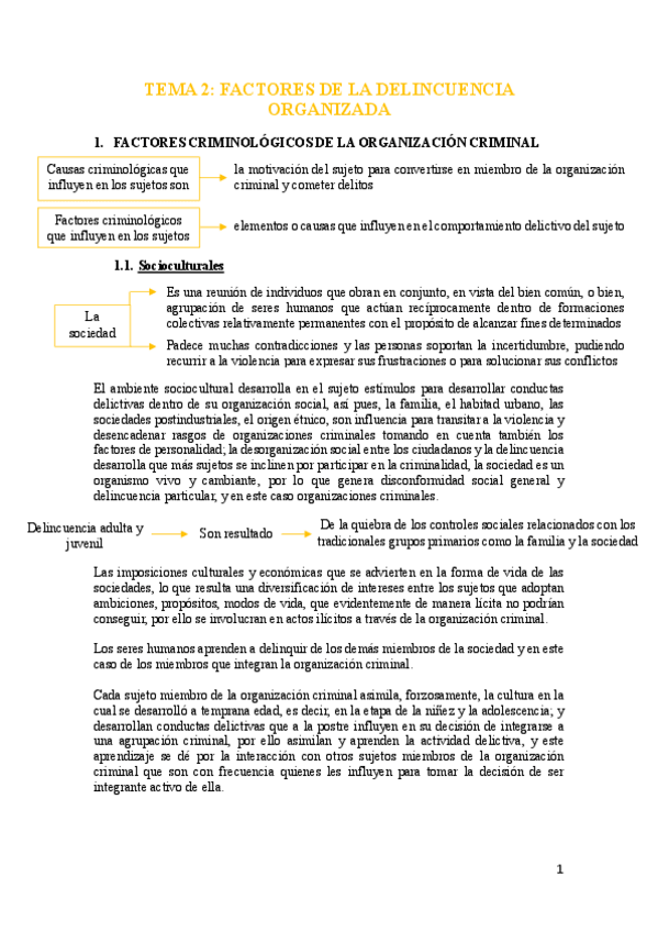 Miniatura del documento tema-2-delincuencia-organizada.pdf
