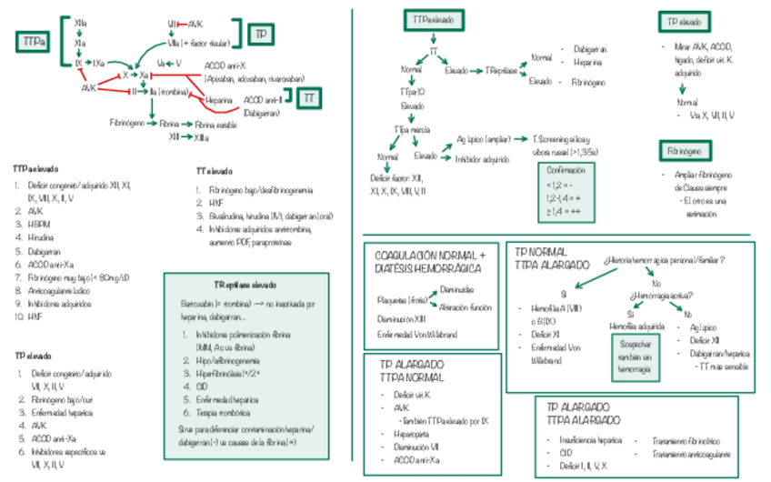 Miniatura del documento Esquema-coagulacion.pdf