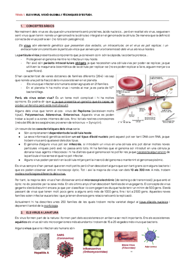 Miniatura del documento VIROLOGIA-EXAMEN-TEMA-1-5.pdf