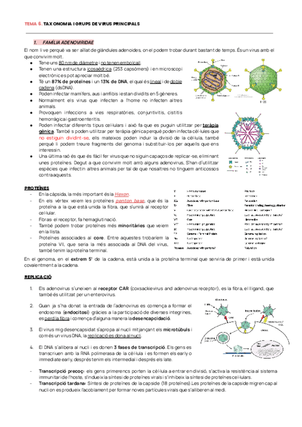 Miniatura del documento VIROLOGIA-EXAMEN-TEMA-6-11.pdf