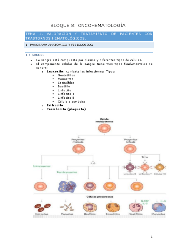 Miniatura del documento Bloque-8.pdf