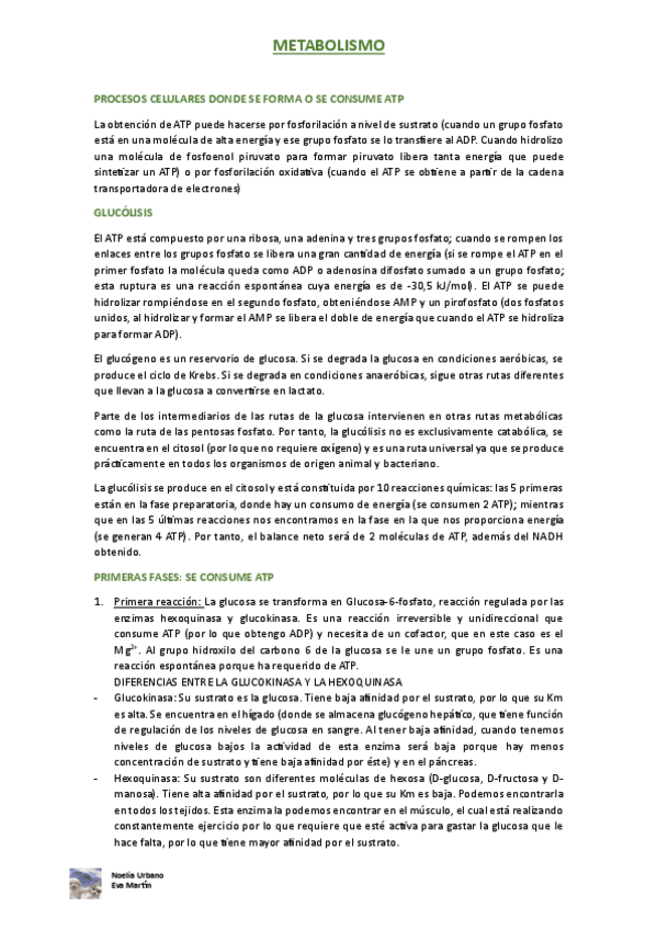 Miniatura del documento METABOLISMO.pdf