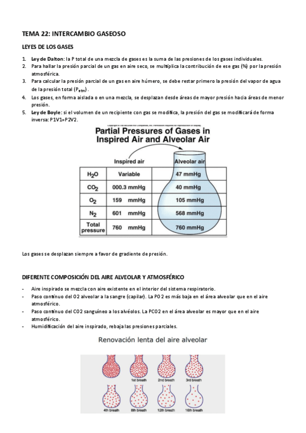 Miniatura del documento TEMA 22 - INTERCAMBIO GASEOSO.pdf