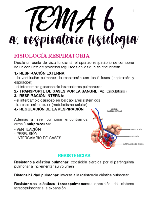 Miniatura del documento APUNTES-FISIOLOGIA-RESPIRATORIO.pdf