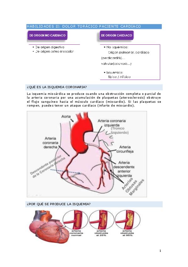 Miniatura del documento Habilidades-II.pdf
