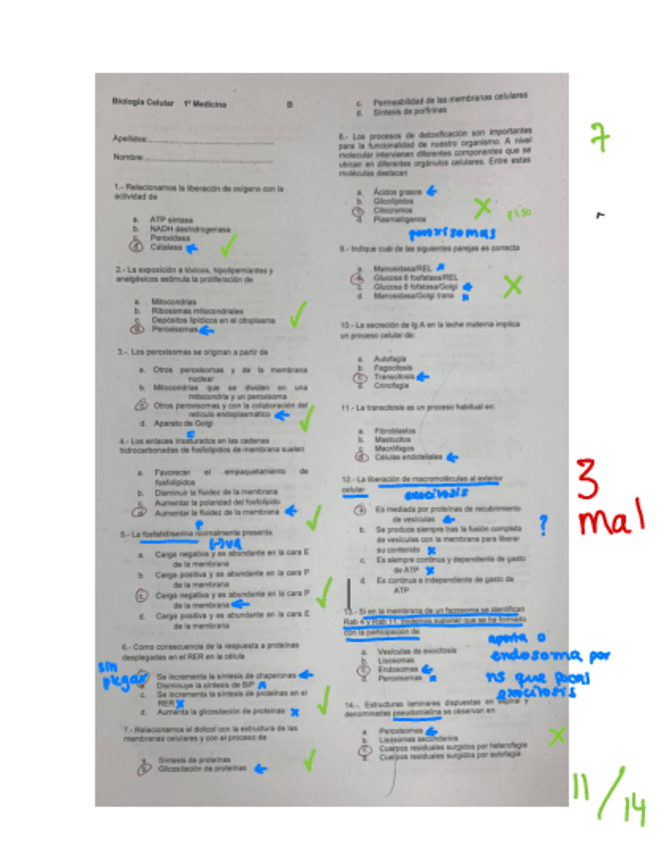 Miniatura del documento Parcial-1.pdf