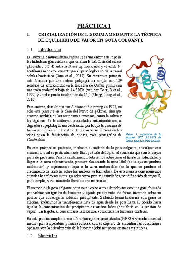Miniatura del documento Informe prácticas (2023/2024).pdf