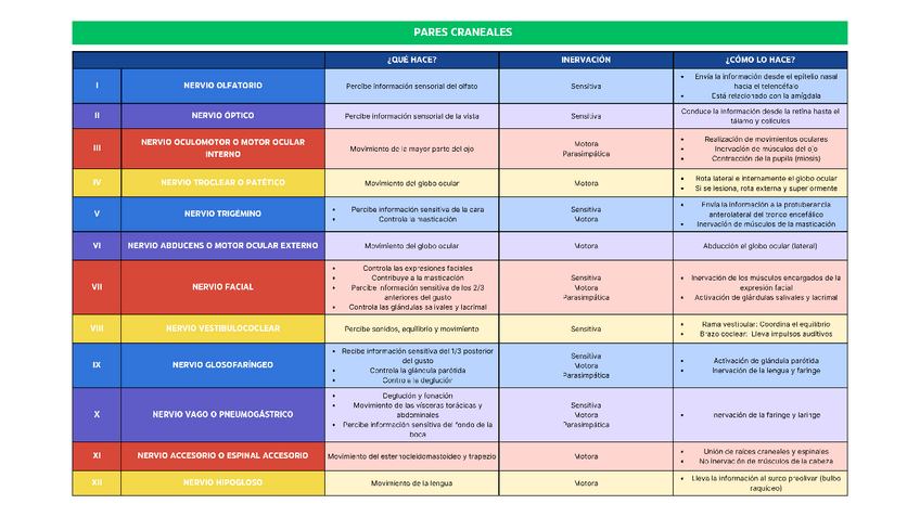 Miniatura del documento PARES CRANEALES (TABLA).pdf