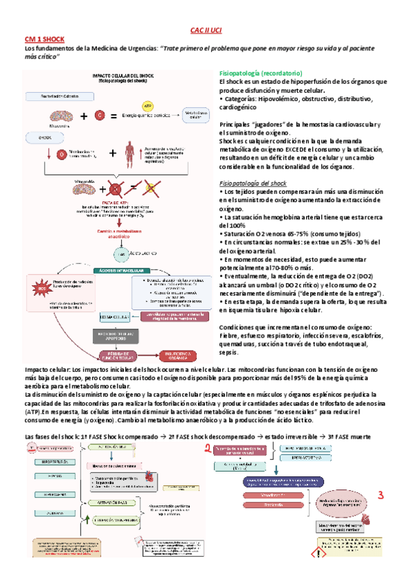 Miniatura del documento UCI-APUNTES-CM-CAC-II-modulo-1.pdf