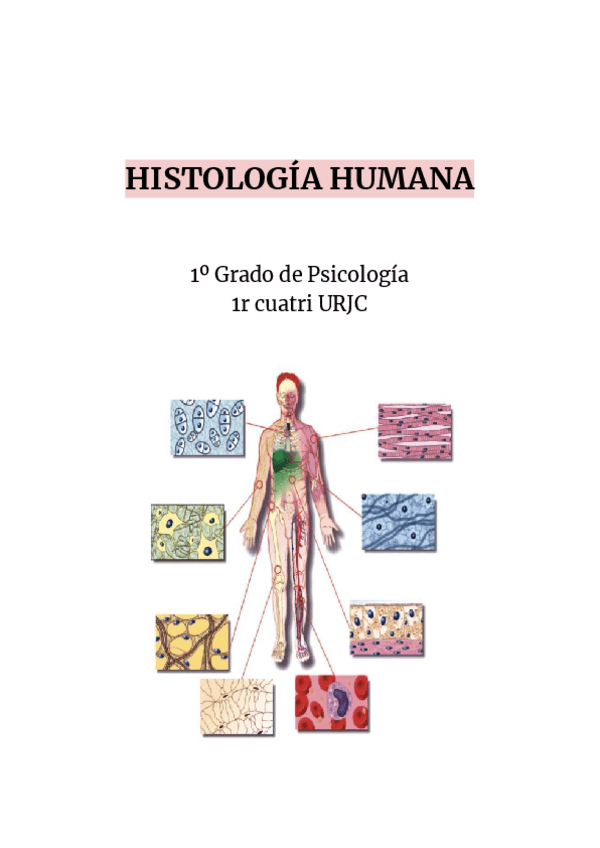 Miniatura del documento APUNTES-EXAMEN-HISTOLOGIA-HUMANA.pdf
