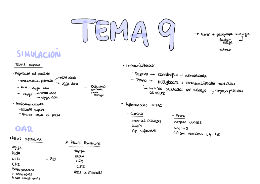 Miniatura del documento TELETERAPIA-Tema-9.pdf