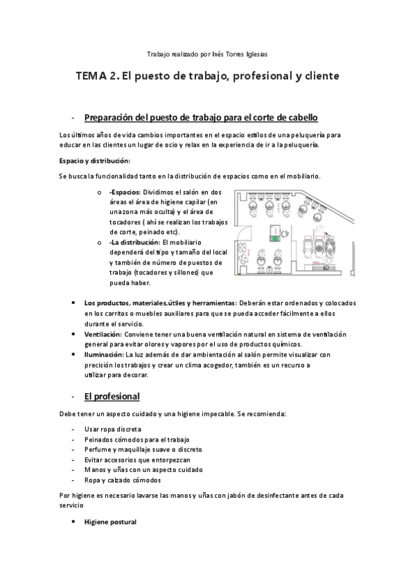 Miniatura del documento TEMA-2-Corte-Ines-Torres.pdf