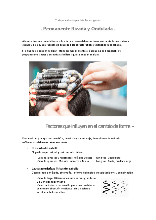 Miniatura del documento Permanente-rizada-Ines-torres.pdf