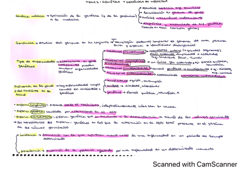 Miniatura del documento T1- RESUMEN GENETICA-Y-GENOMICA-EN-MEDICINA.pdf