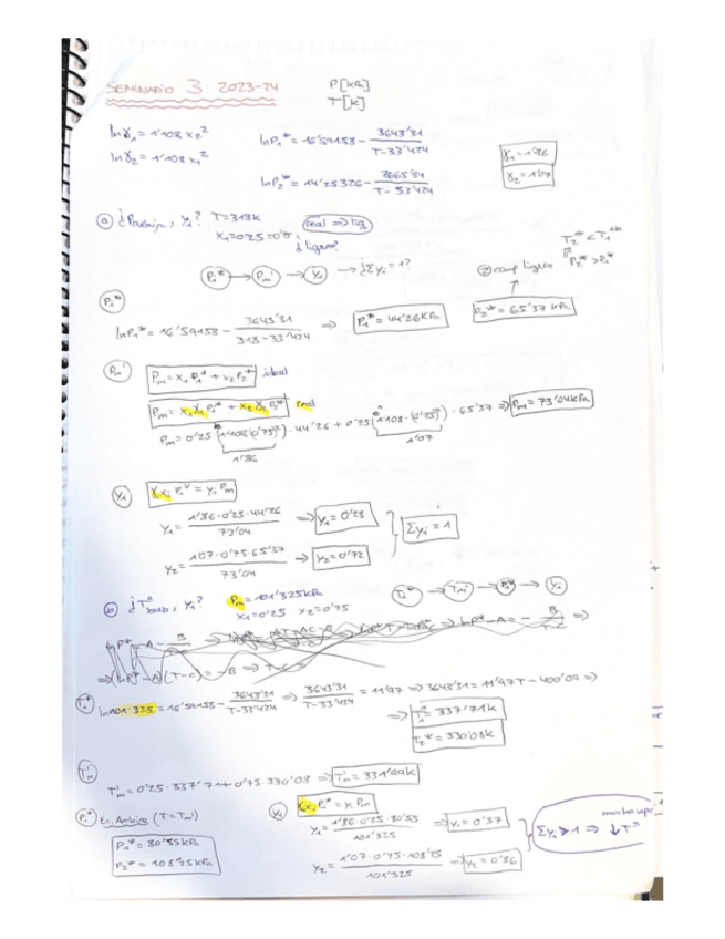 Miniatura del documento SEMINARIO-3-nota-10.pdf