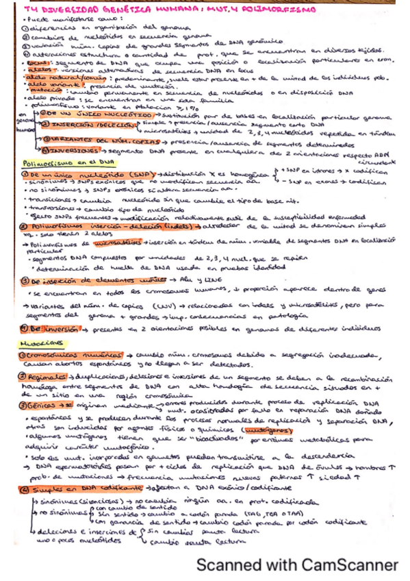 Miniatura del documento T4-RESUMEN DIVERSIDAD GENÉTICA  -HUMANA-MUTACIONES-Y-POLIMORFISMO.pdf