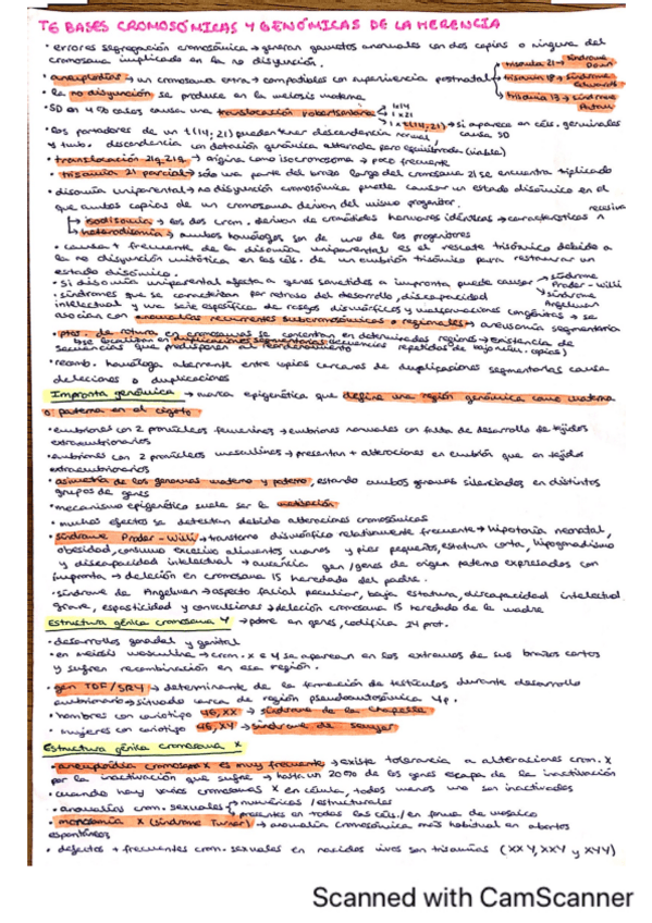 Miniatura del documento T6 RESUMEN BASES-CROMOSOMICAS-Y-GENOMICAS-DE-LA-HERENCIA.pdf