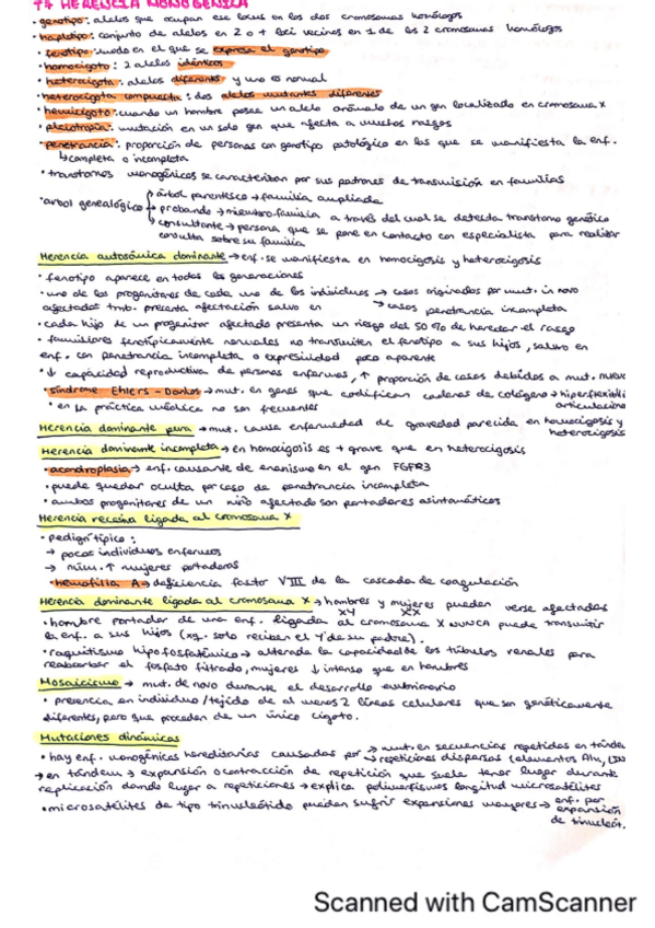 Miniatura del documento T7 RESUMEN HERENCIA-MONOGENICA.pdf