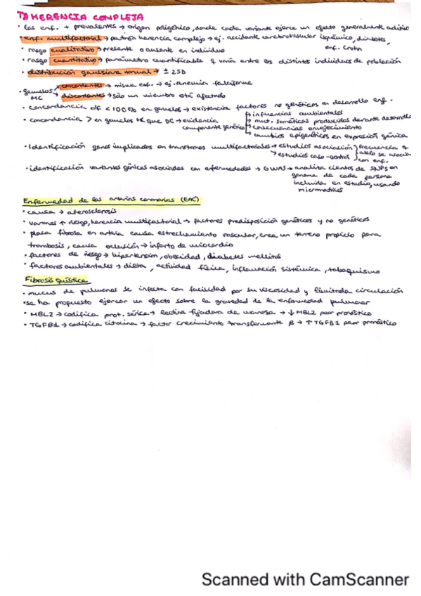 Miniatura del documento T8-RESUMEN-HERENCIA-COMPLEJA.pdf