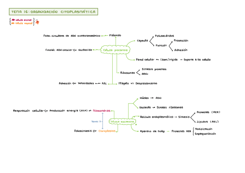 Miniatura del documento tema-16-resumen.pdf