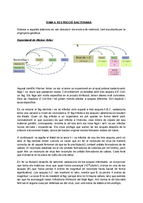 Miniatura del documento APUNTS-BIOLOGIA-MOLECULAR-DE-PROCARIOTES-2-Documentos-de-Googlecompressed.pdf