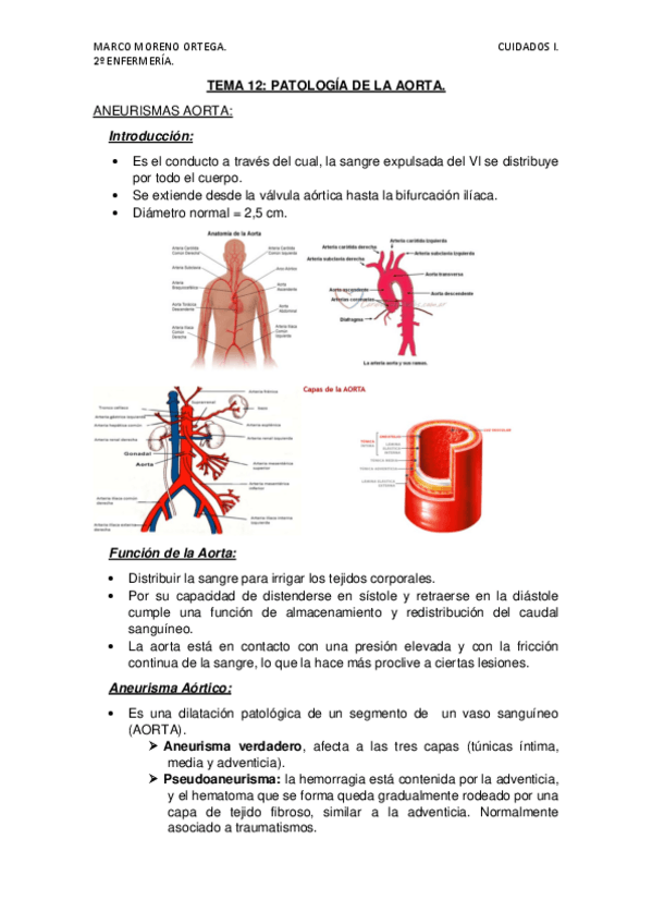 Miniatura del documento TEMA-12.pdf