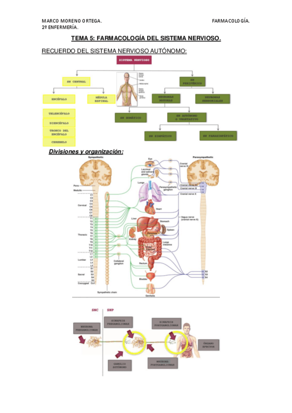 Miniatura del documento TEMA-5.docx.pdf