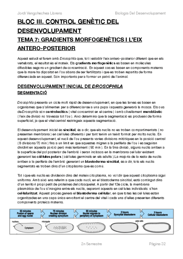 Miniatura del documento BIOLOGIA DEL DESENVOLUPAMENT -COMPLET-BLOC III.pdf