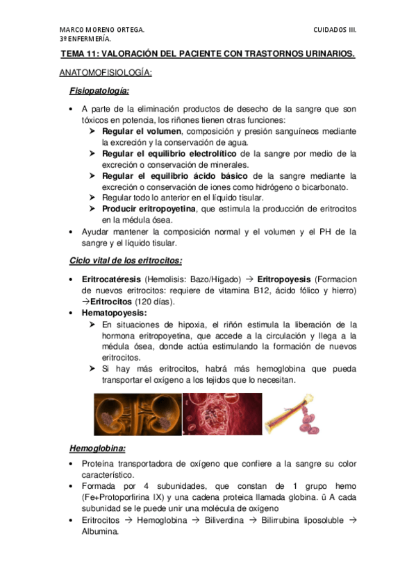 Miniatura del documento TEMA-11.pdf