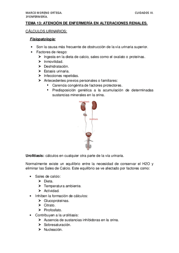 Miniatura del documento TEMA-13.pdf