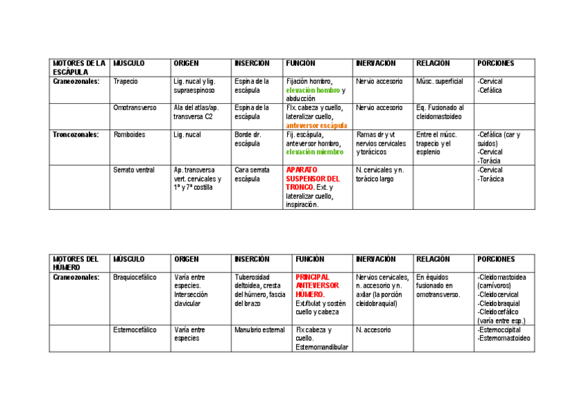 Miniatura del documento MUSCULOS-MB-TORACIO-Y-PELVIANO.pdf
