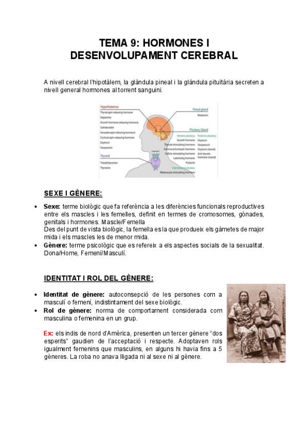 Miniatura del documento TEMA-9-HORMONES-I-DESENVOLUPAMENT-CEREBRAL.pdf