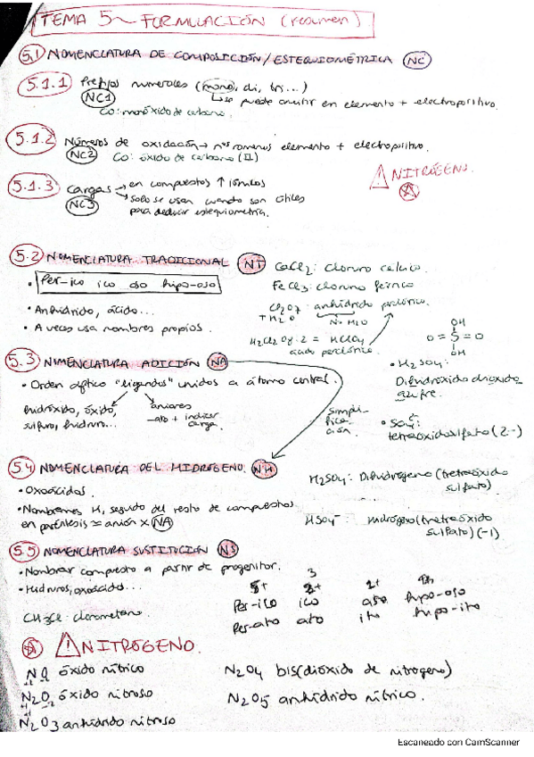 Miniatura del documento Formulación parcial inorgánica.pdf