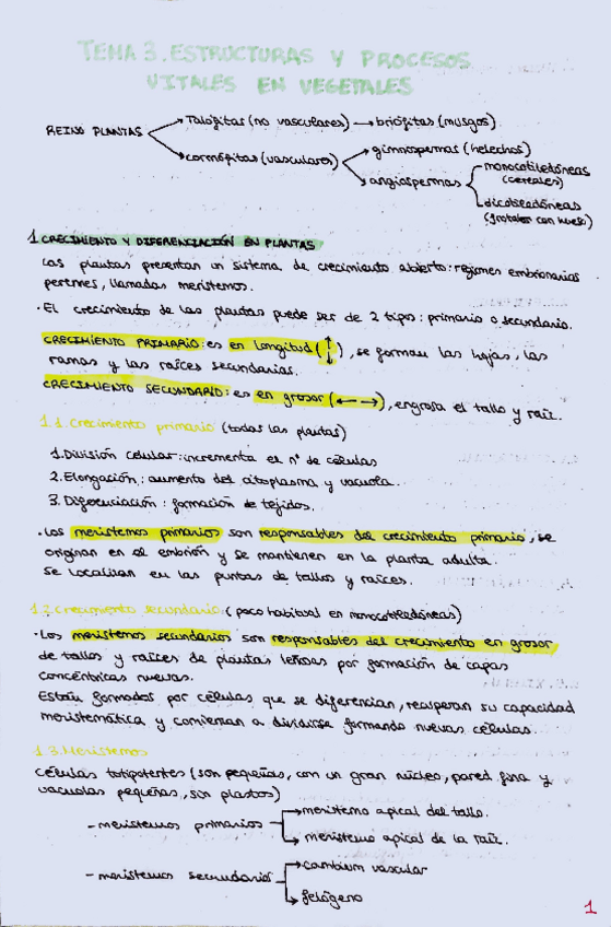 Miniatura del documento TEMA-3-COMPLETO.-Estructuras-y-procesos-vitales-en-vegetales.pdf