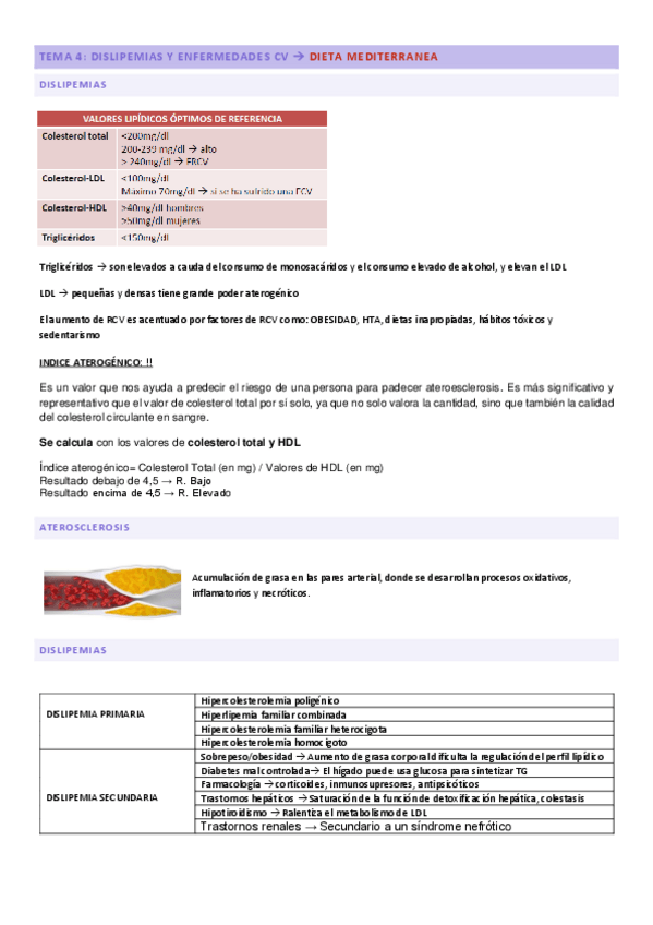Miniatura del documento TEMA-4-Dislipemias-y-ECV.pdf