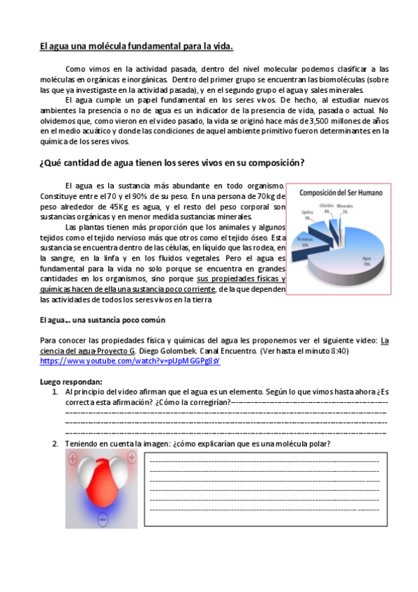 Miniatura del documento El-agua-en-los-seres-vivos-actualizada.pdf