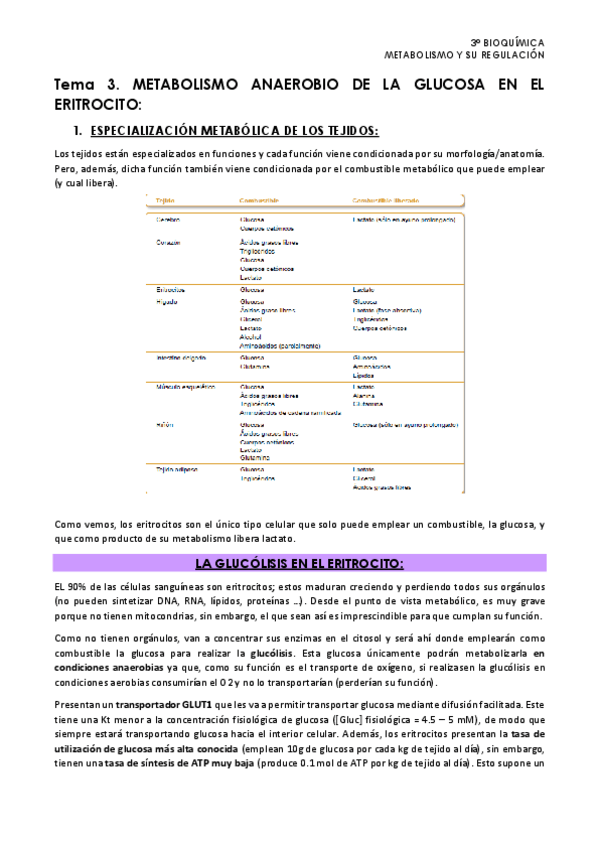 Miniatura del documento Tema-3.-Metabolismo.pdf