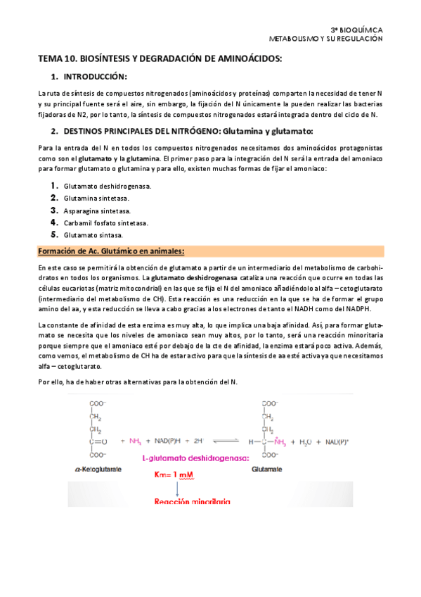 Miniatura del documento Tema-10.-Metabolismo.pdf