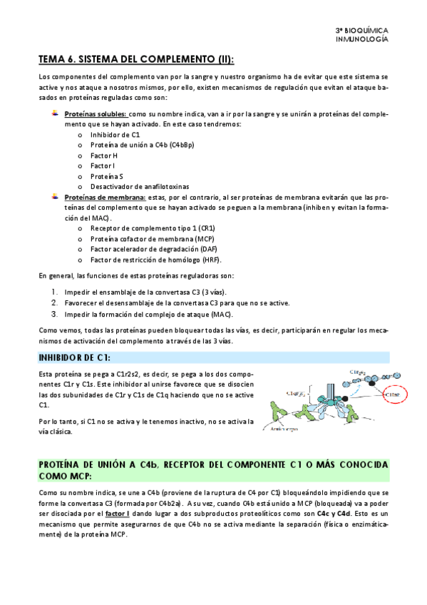 Miniatura del documento Tema-6.-Inmunologia.pdf