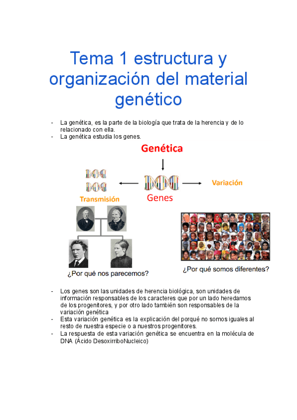 Miniatura del documento Tema-1-Estructura-y-organizacion-del-material-genetico-Genetica.docx.pdf