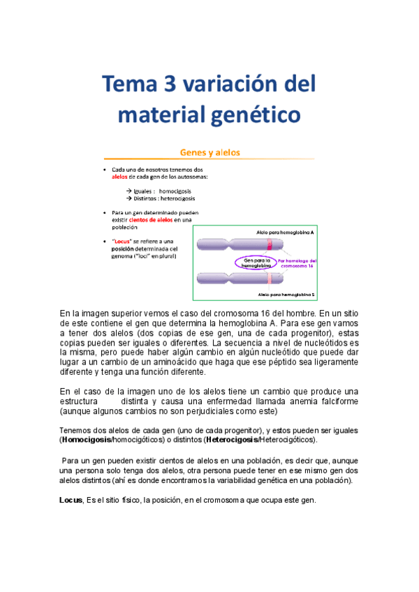 Miniatura del documento Tema-3-Variacion-del-material-genetico-gentica.docx.pdf