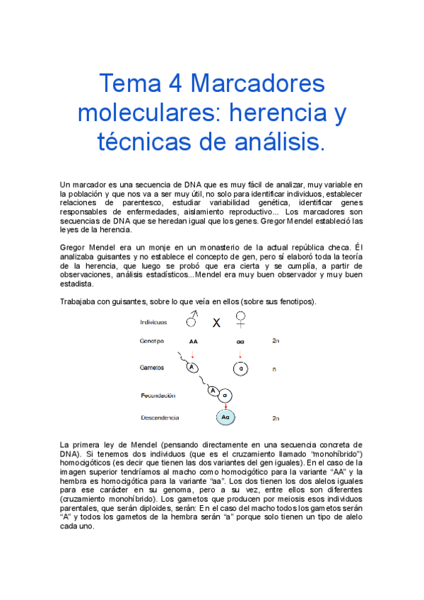 Miniatura del documento Tema-4-Marcadores-moleculares-herencia-y-tecnicas-de-analisis..docx.pdf