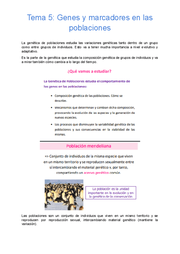 Miniatura del documento Tema-5-Genes-y-marcadores-en-las-poblaciones.pdf