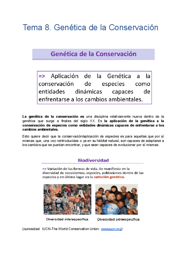 Miniatura del documento Tema-8.-Genetica-de-la-Conservacion.pdf