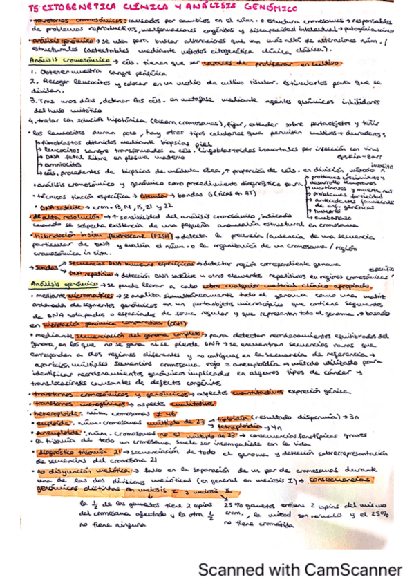 Miniatura del documento T5-RESUMEN-CITOGENETICA-CLINICA-Y-ANALISIS-GENOMICO.pdf